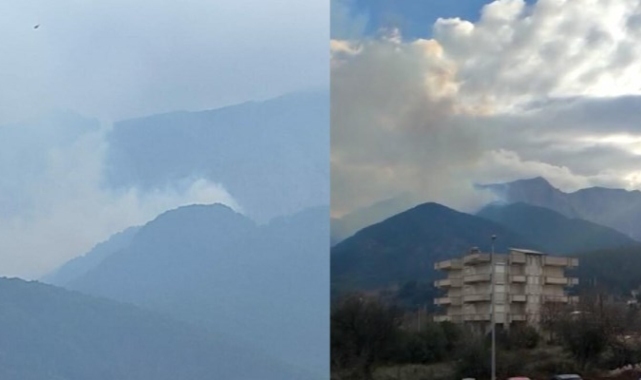 Denizli'de orman yangını