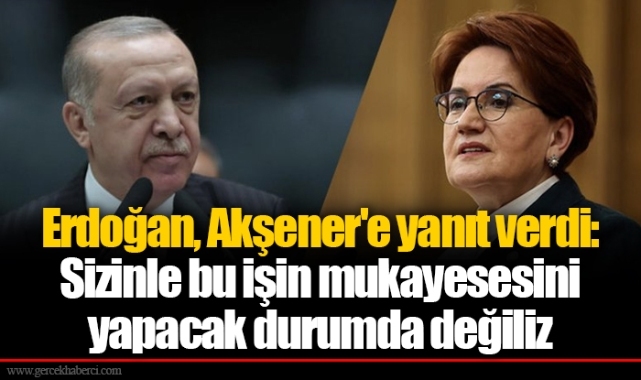 Erdoğan, Akşener'e yanıt verdi: Sizinle bu işin mukayesesini yapacak durumda değiliz