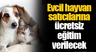 Evcil hayvan satıcılarına ücretsiz eğitim verilecek