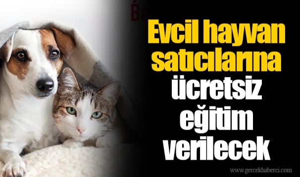 Evcil hayvan satıcılarına ücretsiz eğitim verilecek