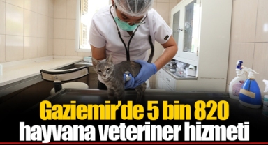 Gaziemir’de 5 bin 820 hayvana veteriner hizmeti