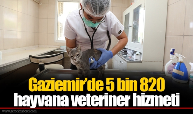Gaziemir’de 5 bin 820 hayvana veteriner hizmeti