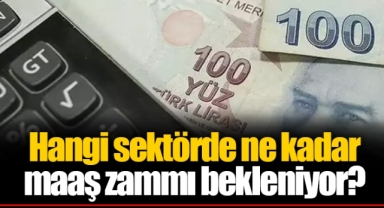 Hangi sektörde ne kadar maaş zammı bekleniyor? İşte tahminler...