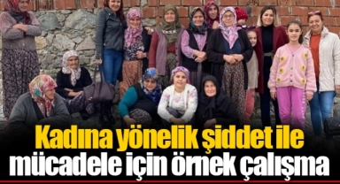 Kadına yönelik şiddet ile mücadele için örnek çalışma