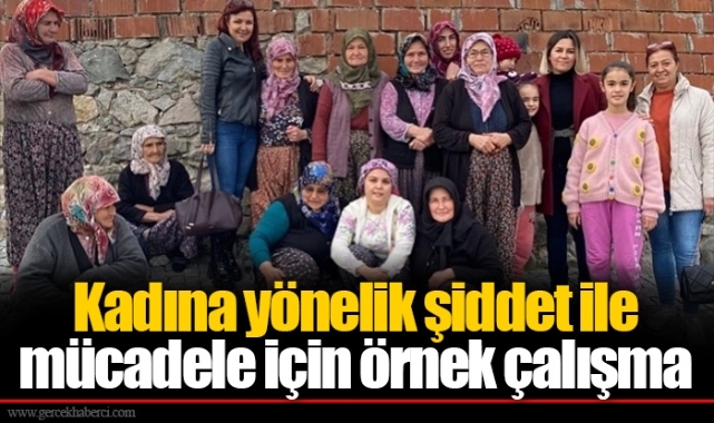 Kadına yönelik şiddet ile mücadele için örnek çalışma