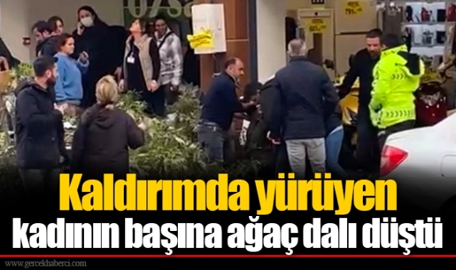 Kaldırımda yürüyen kadının başına ağaç dalı düştü