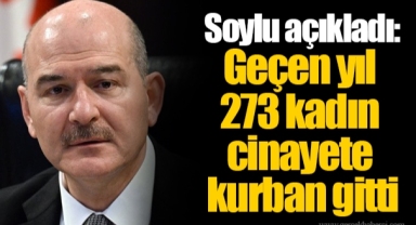 Soylu açıkladı: Geçen yıl 273 kadın cinayete kurban gitti
