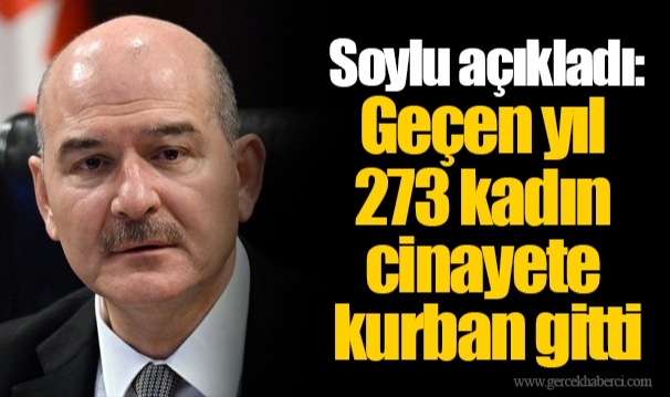 Soylu açıkladı: Geçen yıl 273 kadın cinayete kurban gitti