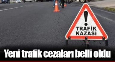Yeni trafik cezaları belli oldu