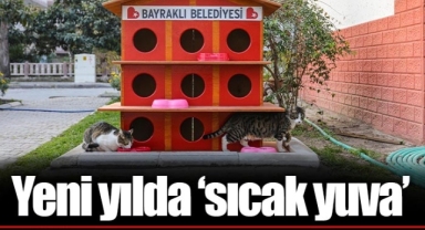 Yeni yılda ‘sıcak yuva’