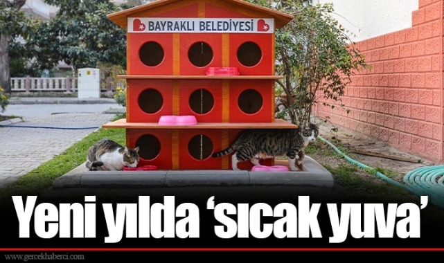 Yeni yılda ‘sıcak yuva’