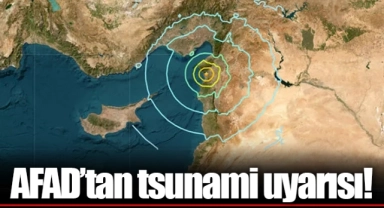 AFAD'tan tsunami uyarısı!