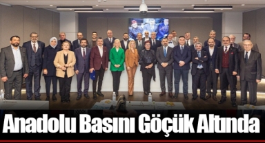 Anadolu Basını Göçük Altında