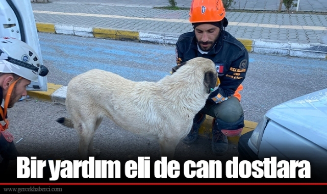 Bir yardım eli de can dostlara