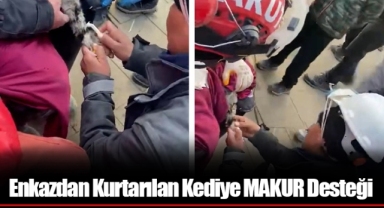 Enkazdan Kurtarılan Kediye MAKUR Desteği