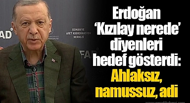 Erdoğan 'Kızılay nerede' diyenleri hedef gösterdi: Ahlaksız, namussuz, adi