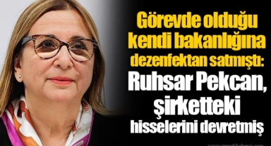 Görevde olduğu kendi bakanlığına dezenfektan satmıştı: Ruhsar Pekcan, şirketteki hisselerini devretmiş