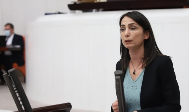 HDP'li Hatimoğulları'ndan Hulusi Akar'ın açıklamalarına tepki: Devlet bu depremde yoktu ve bizler ölüme terk edildik