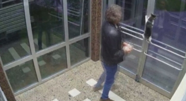 Kediye şiddet uygulayan Aytuğ Koyuncu serbest bırakıldı