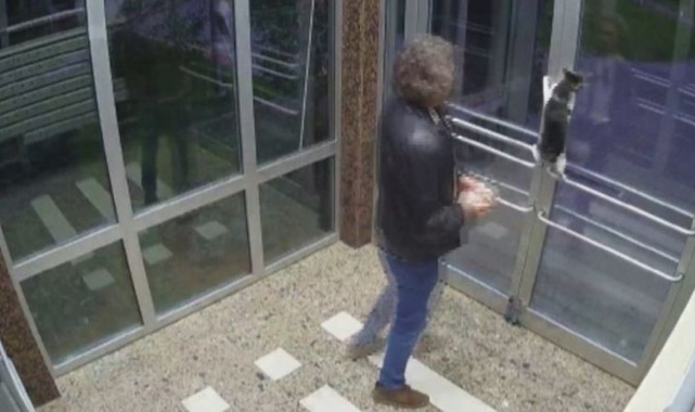 Kediye şiddet uygulayan Aytuğ Koyuncu serbest bırakıldı