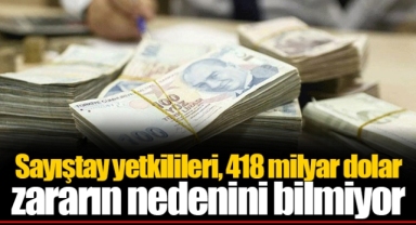Sayıştay yetkilileri, 418 milyar dolar zararın nedenini bilmiyor