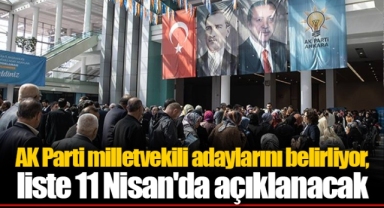 AK Parti milletvekili adaylarını belirliyor, liste 11 Nisan'da açıklanacak