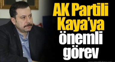 AK Partili Kaya’ya önemli görev
