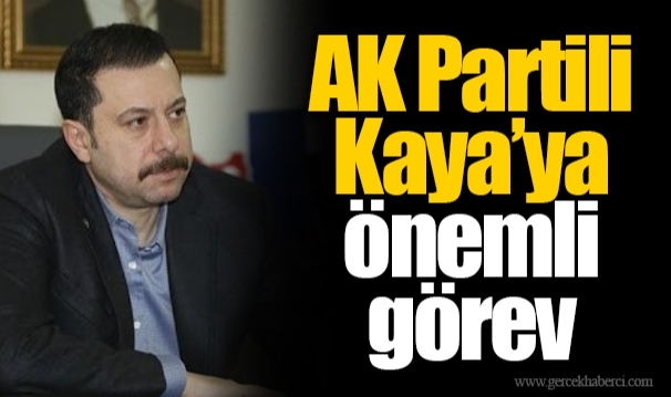 AK Partili Kaya’ya önemli görev