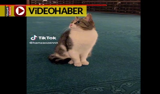 Ayasofya Camii'nde gülümseten video: "Yaradana kurban olayım"