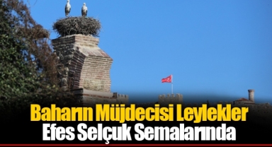 Baharın Müjdecisi Leylekler Efes Selçuk Semalarında