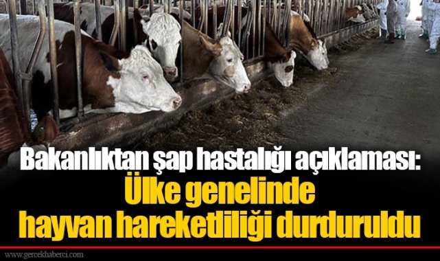 Bakanlıktan şap hastalığı açıklaması: Ülke genelinde hayvan hareketliliği durduruldu