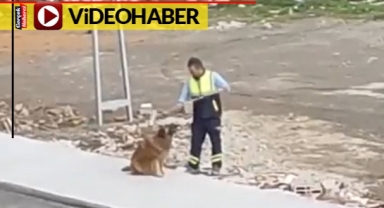 Belediye personeli ve sokak köpeğinin dostluğu yürekleri ısıttı