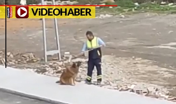 Belediye personeli ve sokak köpeğinin dostluğu yürekleri ısıttı