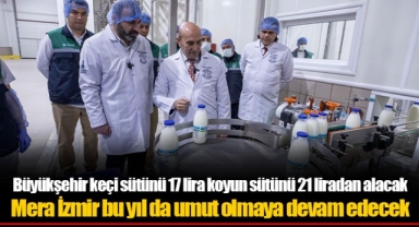 Büyükşehir keçi sütünü 17 lira koyun sütünü 21 liradan alacak