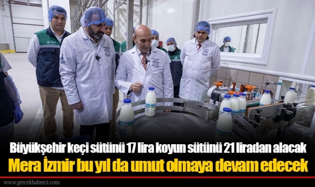 Büyükşehir keçi sütünü 17 lira koyun sütünü 21 liradan alacak
