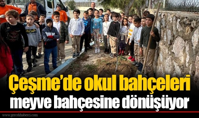 Çeşme’de okul bahçeleri meyve bahçesine dönüşüyor