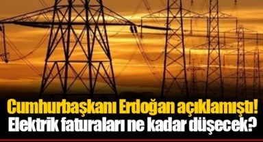 Cumhurbaşkanı Erdoğan açıklamıştı! Elektrik faturaları ne kadar düşecek?