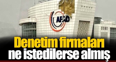 Denetim firmaları ne istedilerse almış