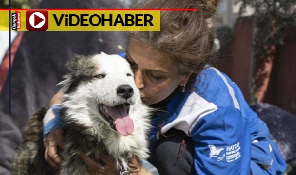 Depremin 22. gününde bir köpek enkazdan canlı kurtarıldı