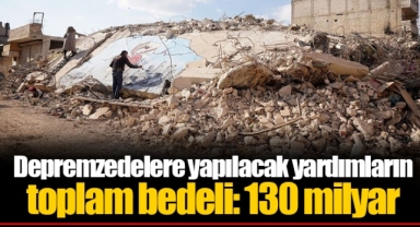 Depremzedelere yapılacak yardımların toplam bedeli: 130 milyar