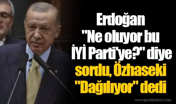 Erdoğan "Ne oluyor bu İYİ Parti'ye?" diye sordu, Özhaseki "Dağılıyor" dedi