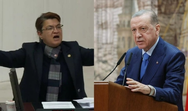 Erdoğan 'Öyle senin konuştuğun gibi değil' diyerek hedef almıştı: CHP'li vekilden jet yanıt