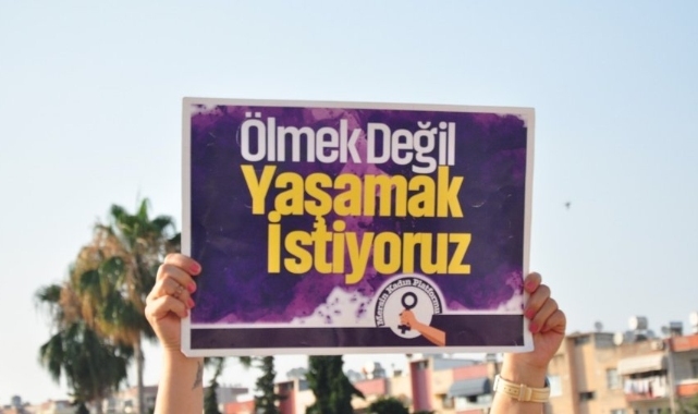 Erkekler geçen yıl en az 327 kadını öldürdü, 793'üne şiddet uyguladı