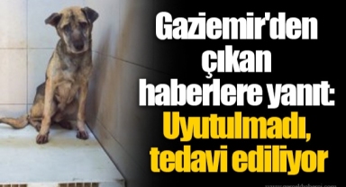 Gaziemir'den çıkan haberlere yanıt: Uyutulmadı, tedavi ediliyor