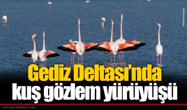Gediz Deltası’nda kuş gözlem yürüyüşü