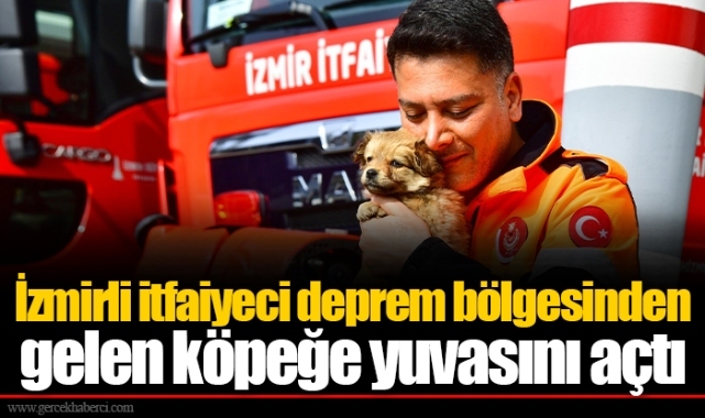 İzmirli itfaiyeci deprem bölgesinden gelen köpeğe yuvasını açtı