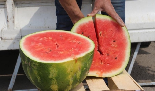 Karpuzun fiyatı cep yakıyor! Dilimi 60 liradan satışa çıktı