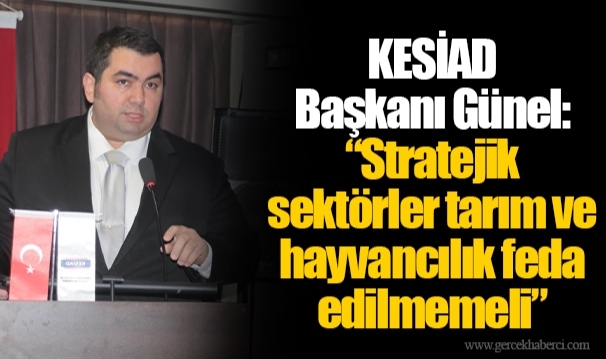 KESİAD Başkanı Günel: “Stratejik sektörler tarım ve hayvancılık feda edilmemeli”