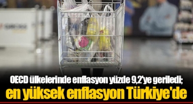 OECD ülkelerinde enflasyon yüzde 9,2'ye geriledi; en yüksek enflasyon Türkiye'de