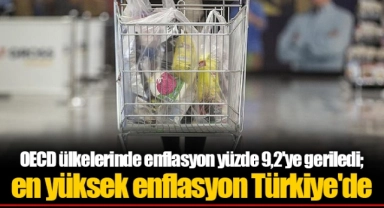 OECD ülkelerinde enflasyon yüzde 9,2'ye geriledi; en yüksek enflasyon Türkiye'de